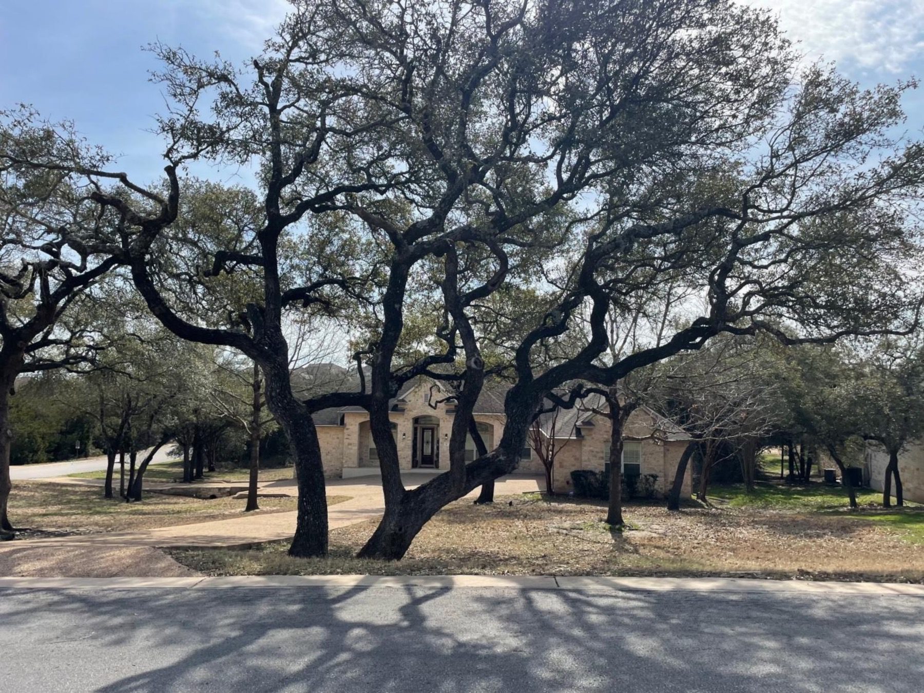 neighborhoods near circle c shadowridge crossing