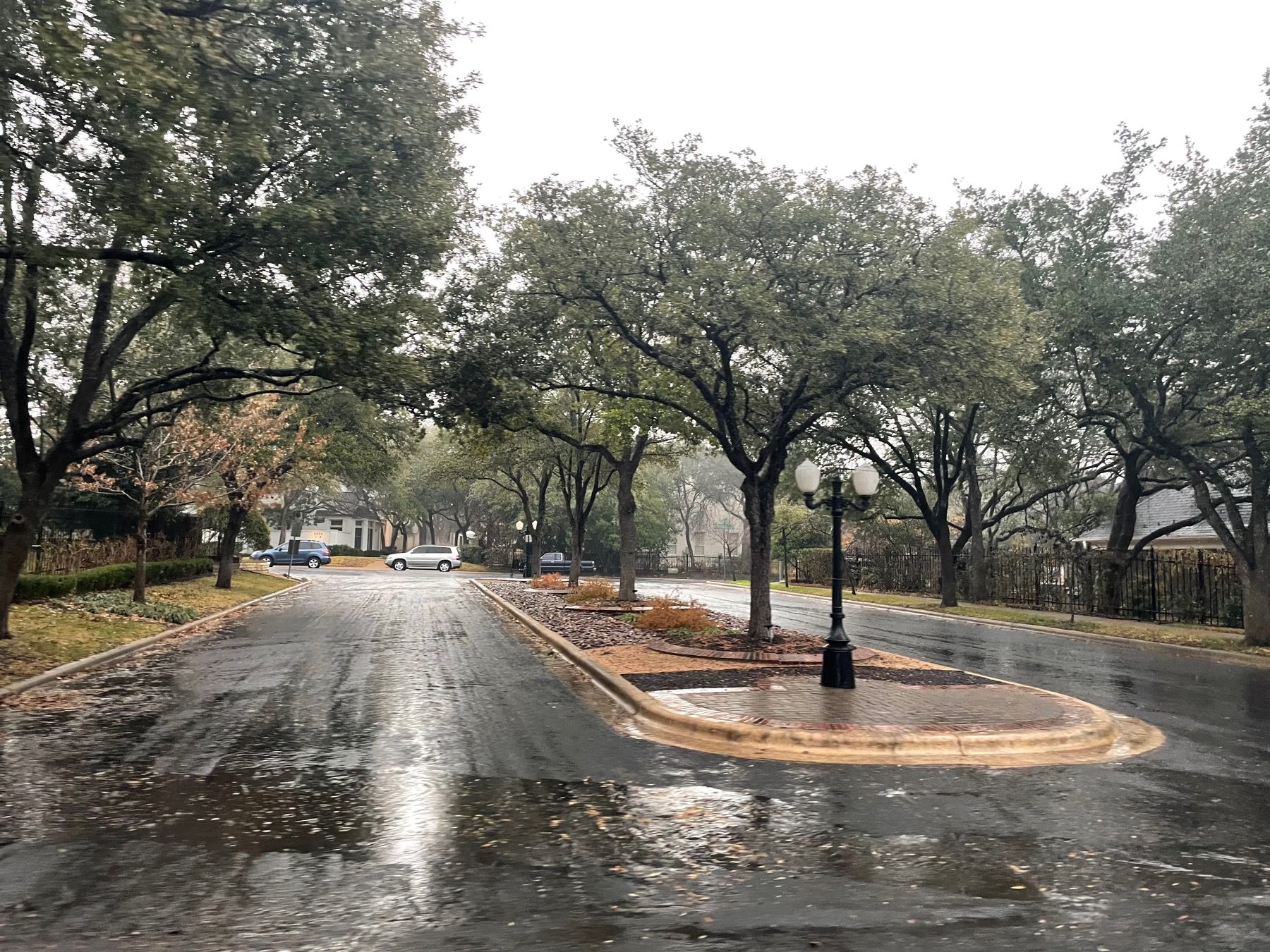 treemont neighborhood street in Austin texas
