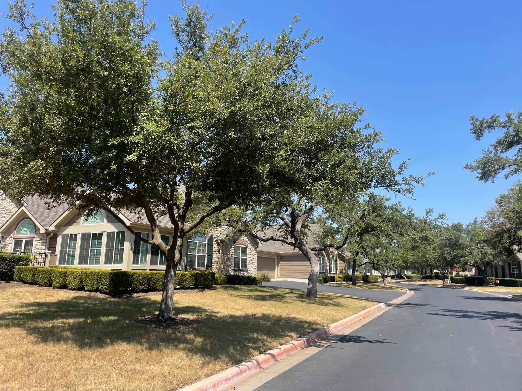 active adult communities in Austin oaks at wildwood