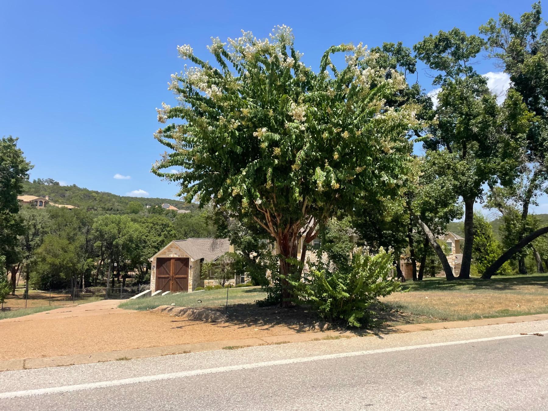 Westminster Glen estates Austin luxury home with rv parking