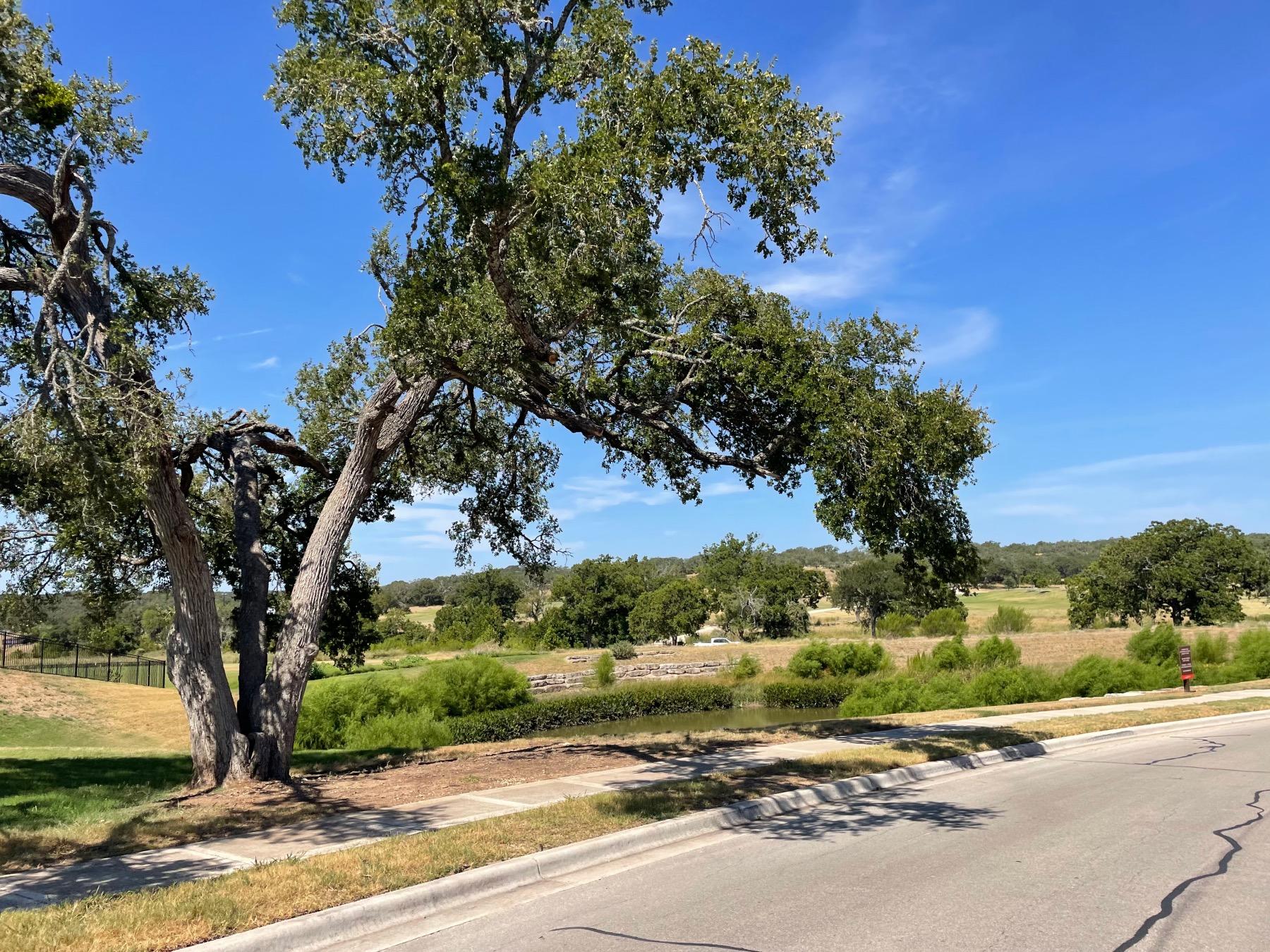caliterra open space dripping springs texas
