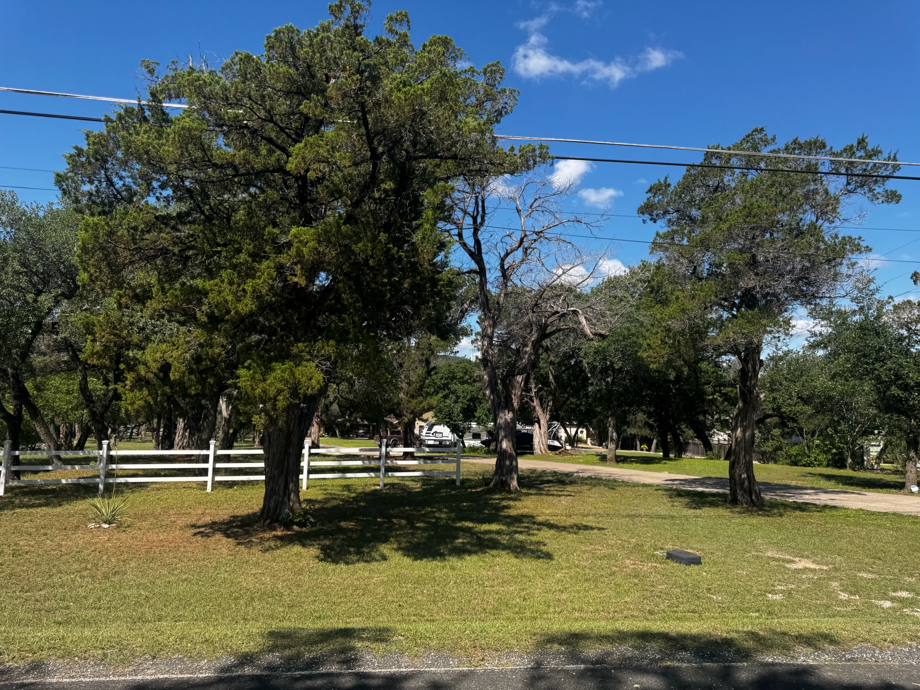 wooded lot home in trails end leander