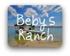 Bebys Ranch Austin TX Neighborhood Guide
