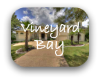 Vineyard Bay Austin TX Neighborhood Guide