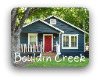 Bouldin Creek South Austin neighborhood