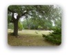 Madrones Austin TX Neighborhood Guide